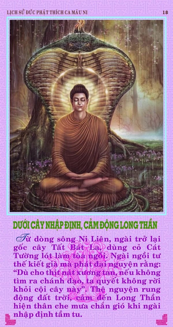 Lịch sử Đức Phật bằng tranh