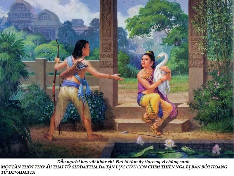 Cuộc đời Đức Phật