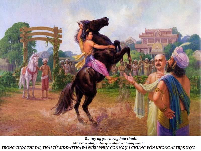 Cuộc đời Đức Phật