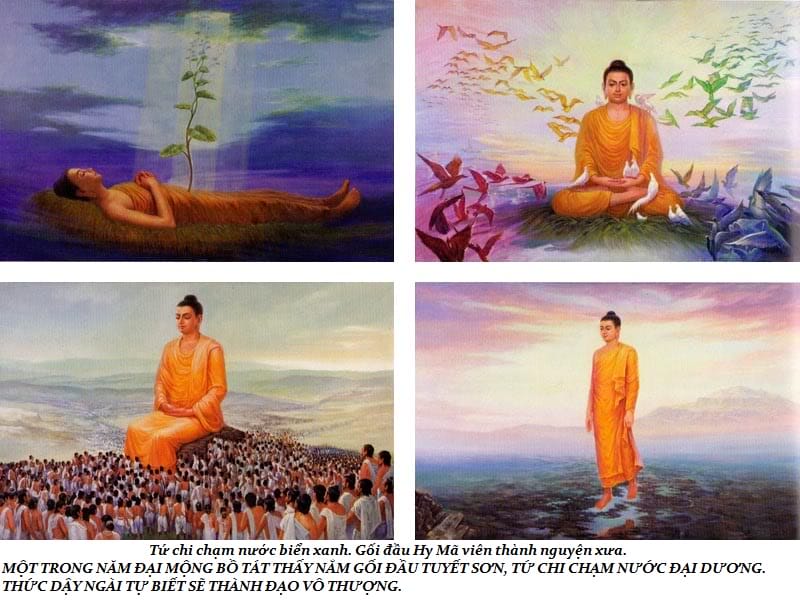 Cuộc đời Đức Phật