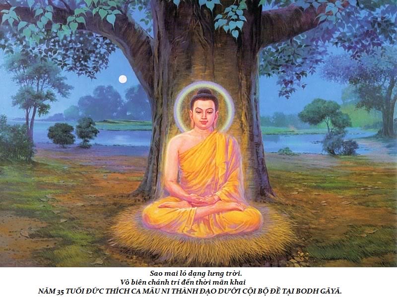 Cuộc đời Đức Phật