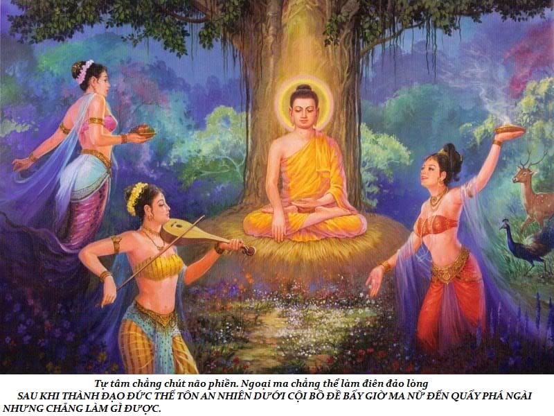 Cuộc đời Đức Phật