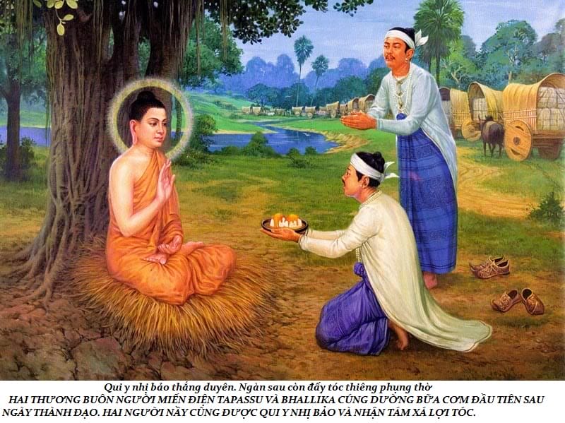 Cuộc đời Đức Phật