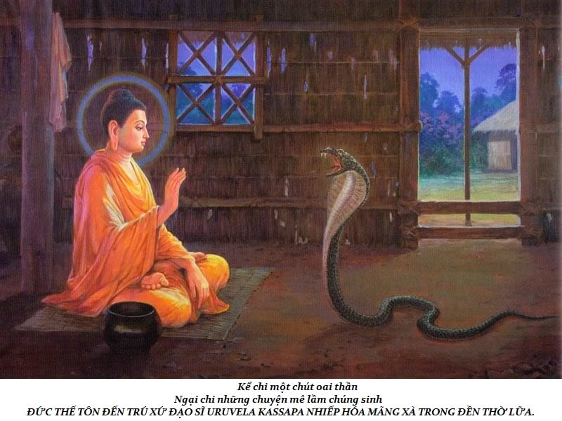 Cuộc đời Đức Phật