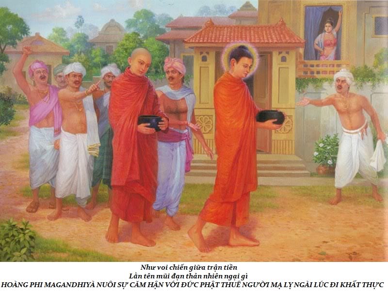 Cuộc đời Đức Phật