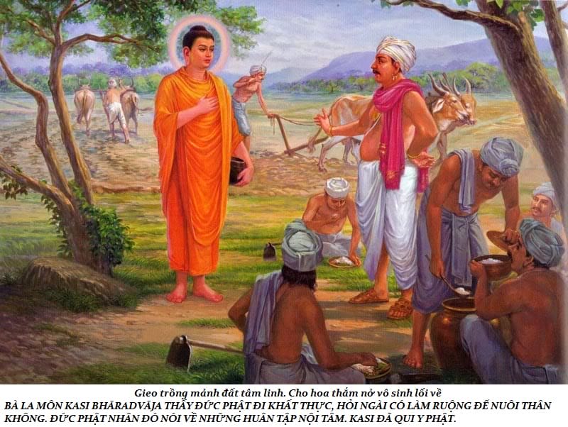 Cuộc đời Đức Phật