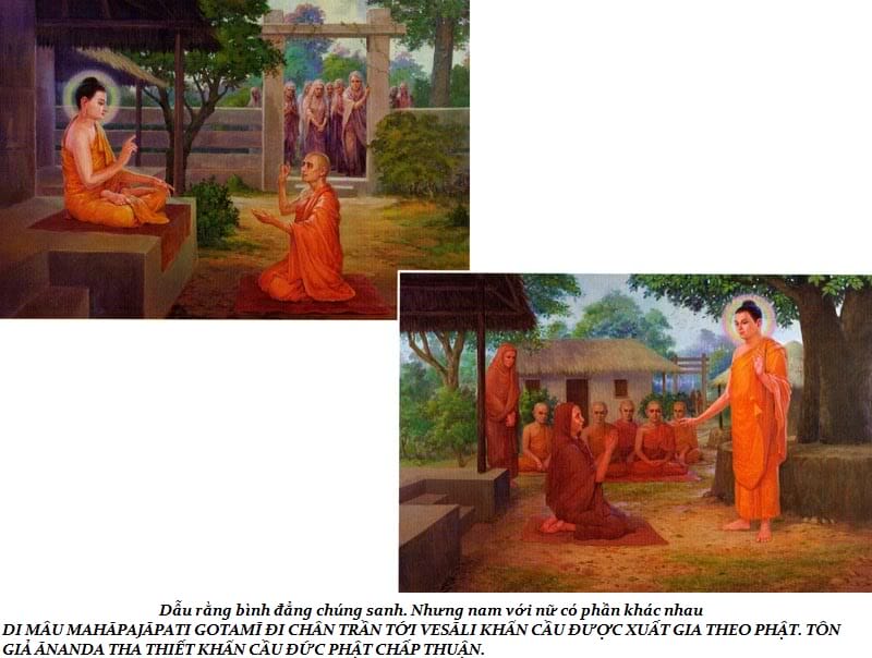 Cuộc đời Đức Phật