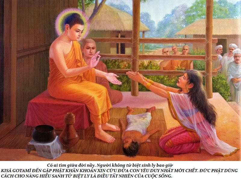 Cuộc đời Đức Phật