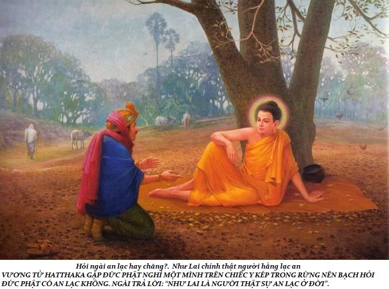 Cuộc đời Đức Phật