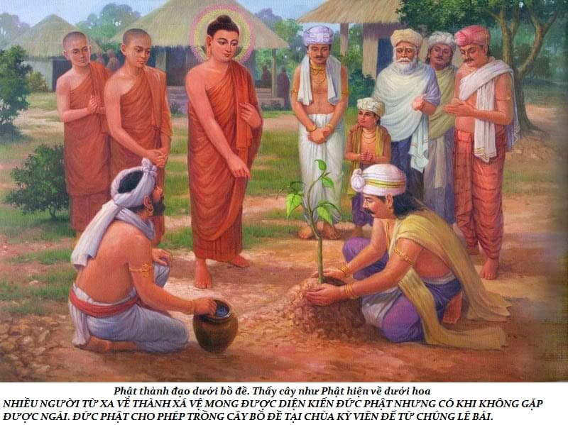 Cuộc đời Đức Phật