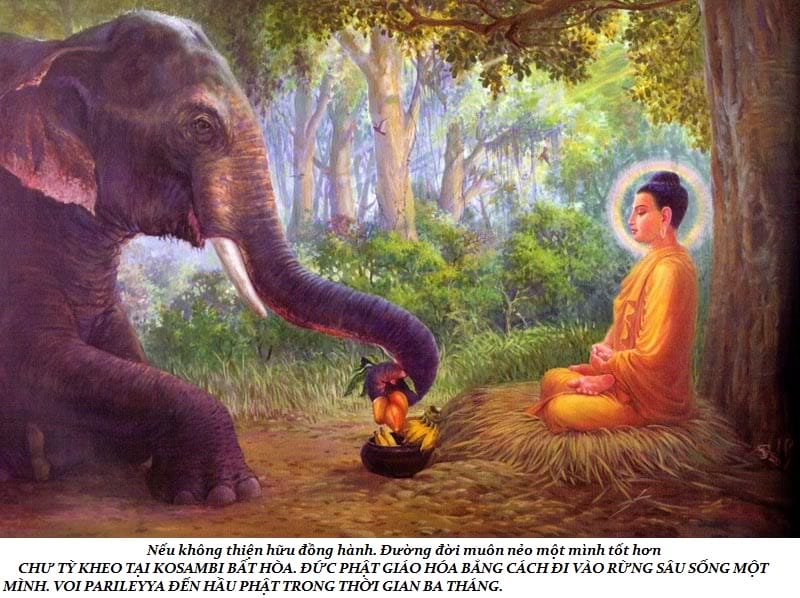 Cuộc đời Đức Phật