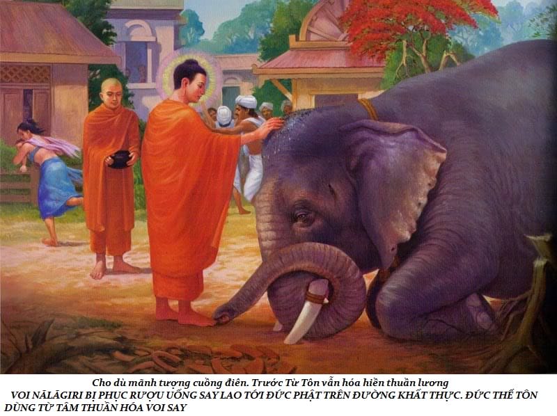 Cuộc đời Đức Phật