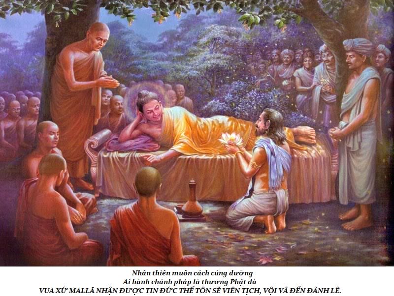 Cuộc đời Đức Phật