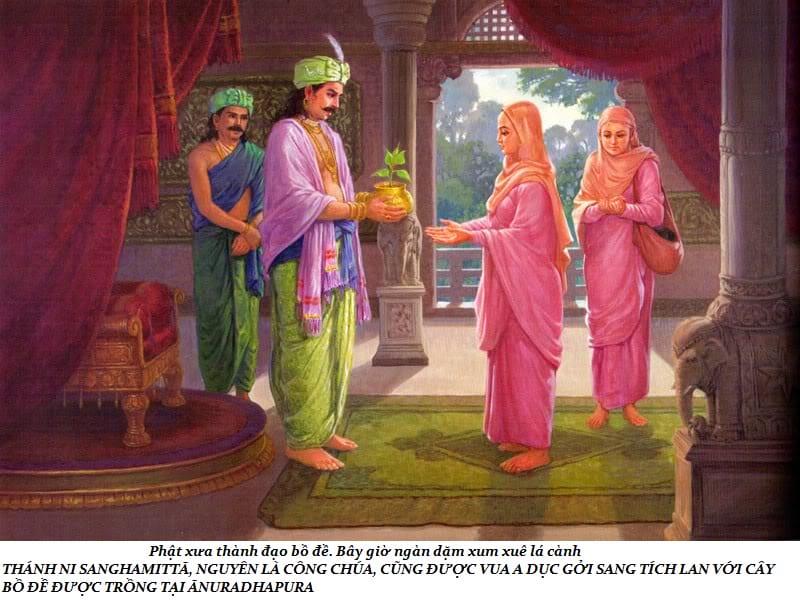 Cuộc đời Đức Phật