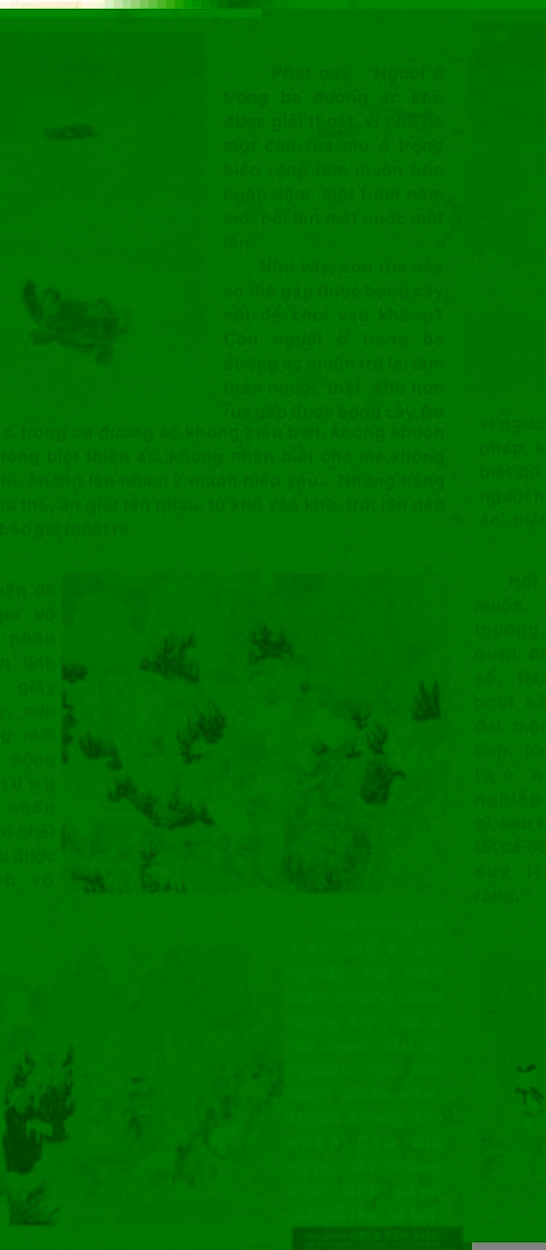 Bức Tranh Nhân Quả