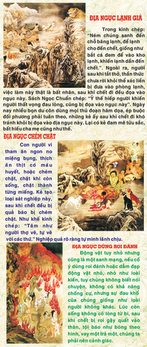 Bức Tranh Nhân Quả