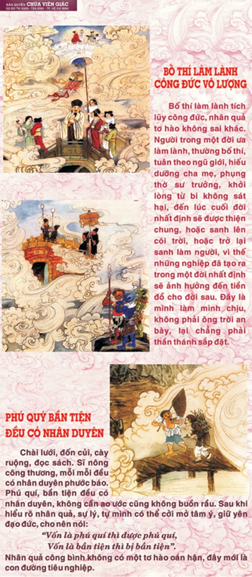 Bức Tranh Nhân Quả