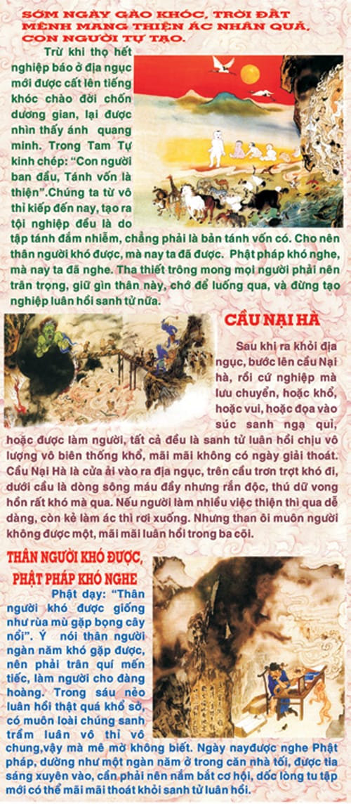 Bức Tranh Nhân Quả