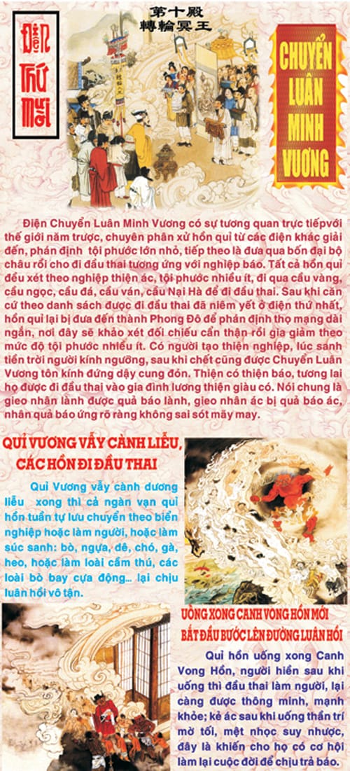 Bức Tranh Nhân Quả