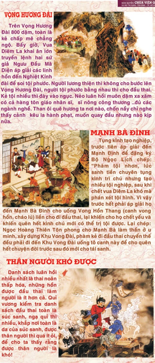 Bức Tranh Nhân Quả