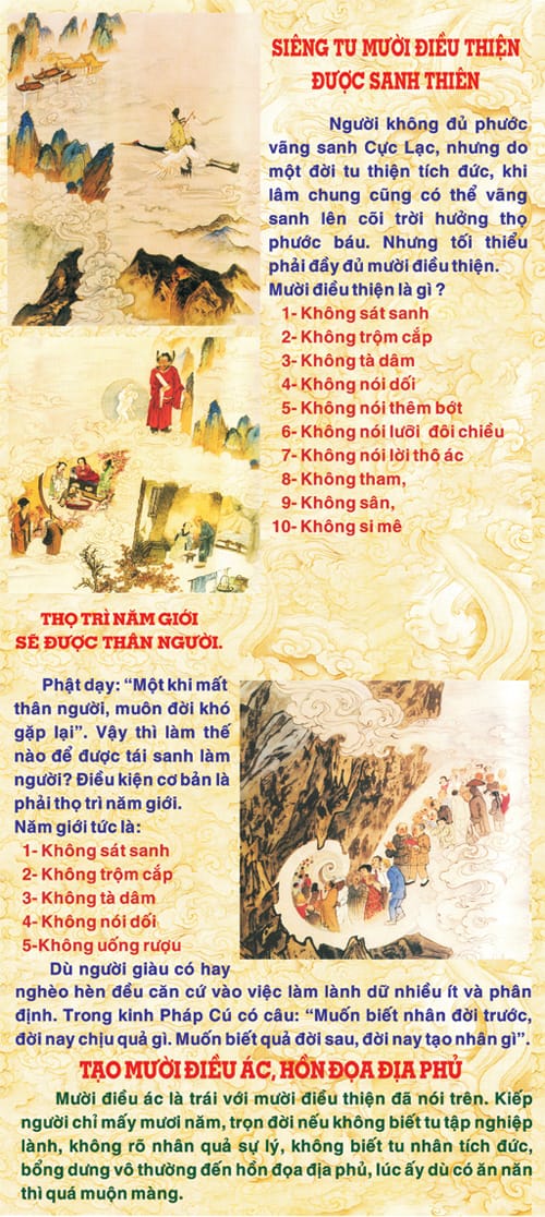 Bức Tranh Nhân Quả