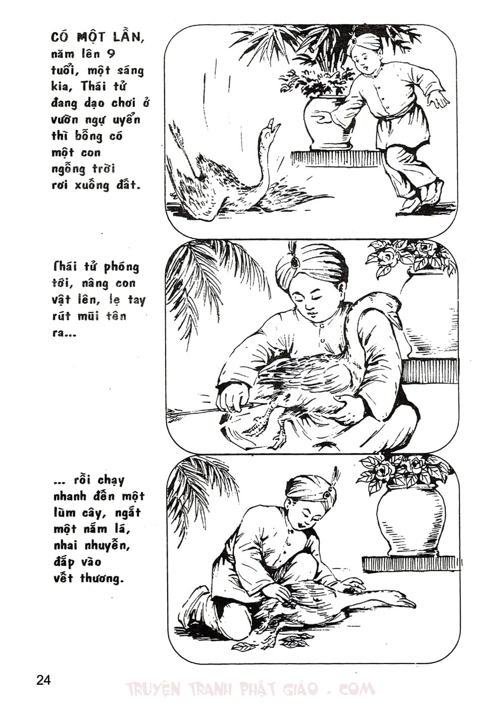 Lịch Sử Đức Phật Bằng Tranh - Tập 1 | Lý Thái Thuận - Trương Quân