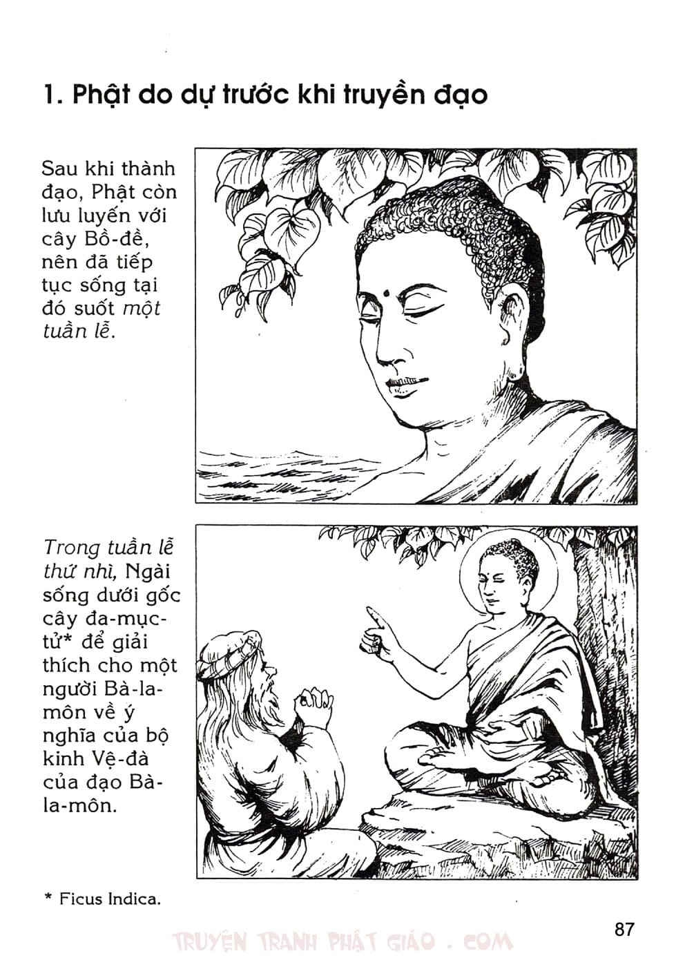 Lịch Sử Đức Phật Bằng Tranh - Tập 1 | Lý Thái Thuận - Trương Quân