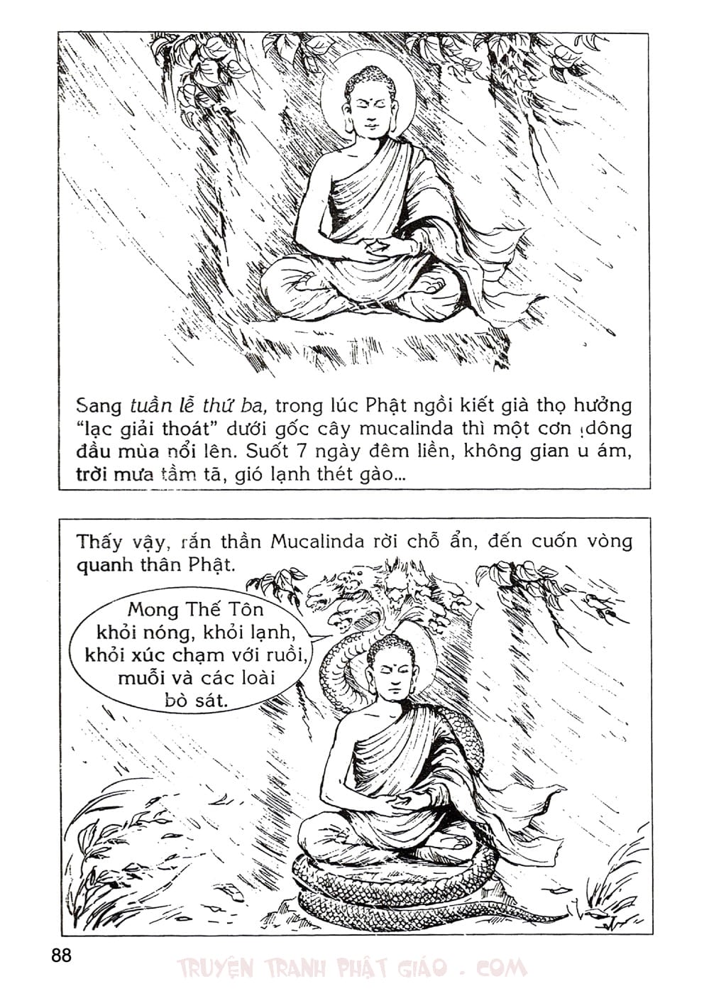 Lịch Sử Đức Phật Bằng Tranh - Tập 1 | Lý Thái Thuận - Trương Quân