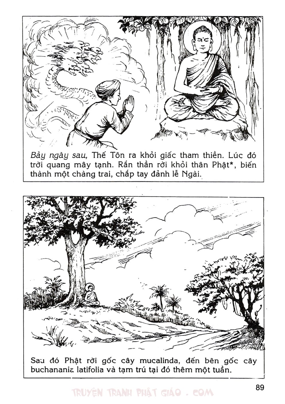 Lịch Sử Đức Phật Bằng Tranh - Tập 1 | Lý Thái Thuận - Trương Quân