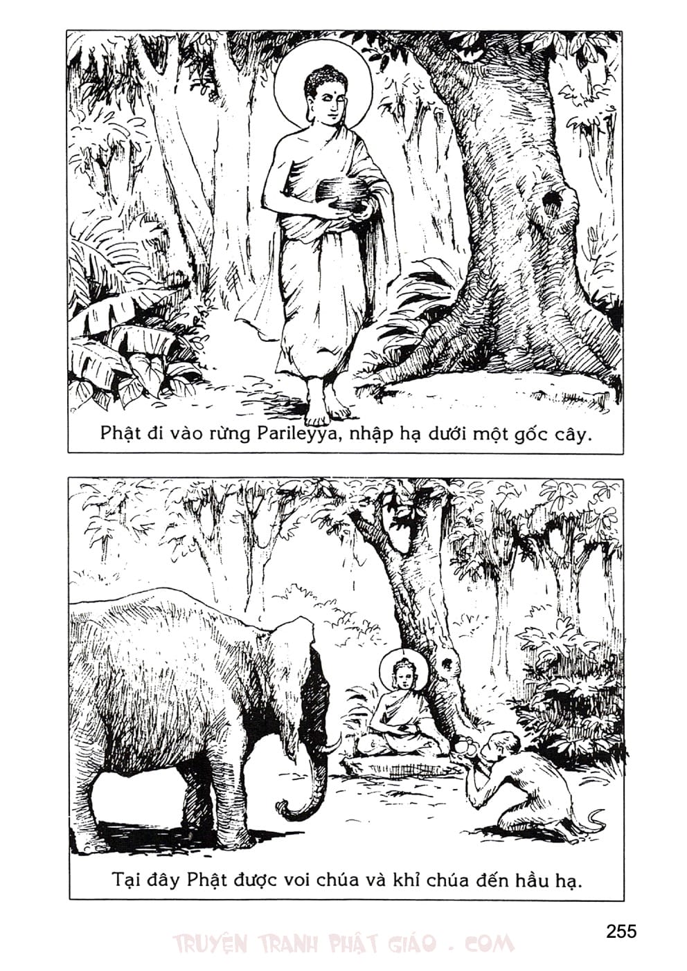 Lịch Sử Đức Phật Bằng Tranh - Tập 2 | Lý Thái Thuận - Trương Quân