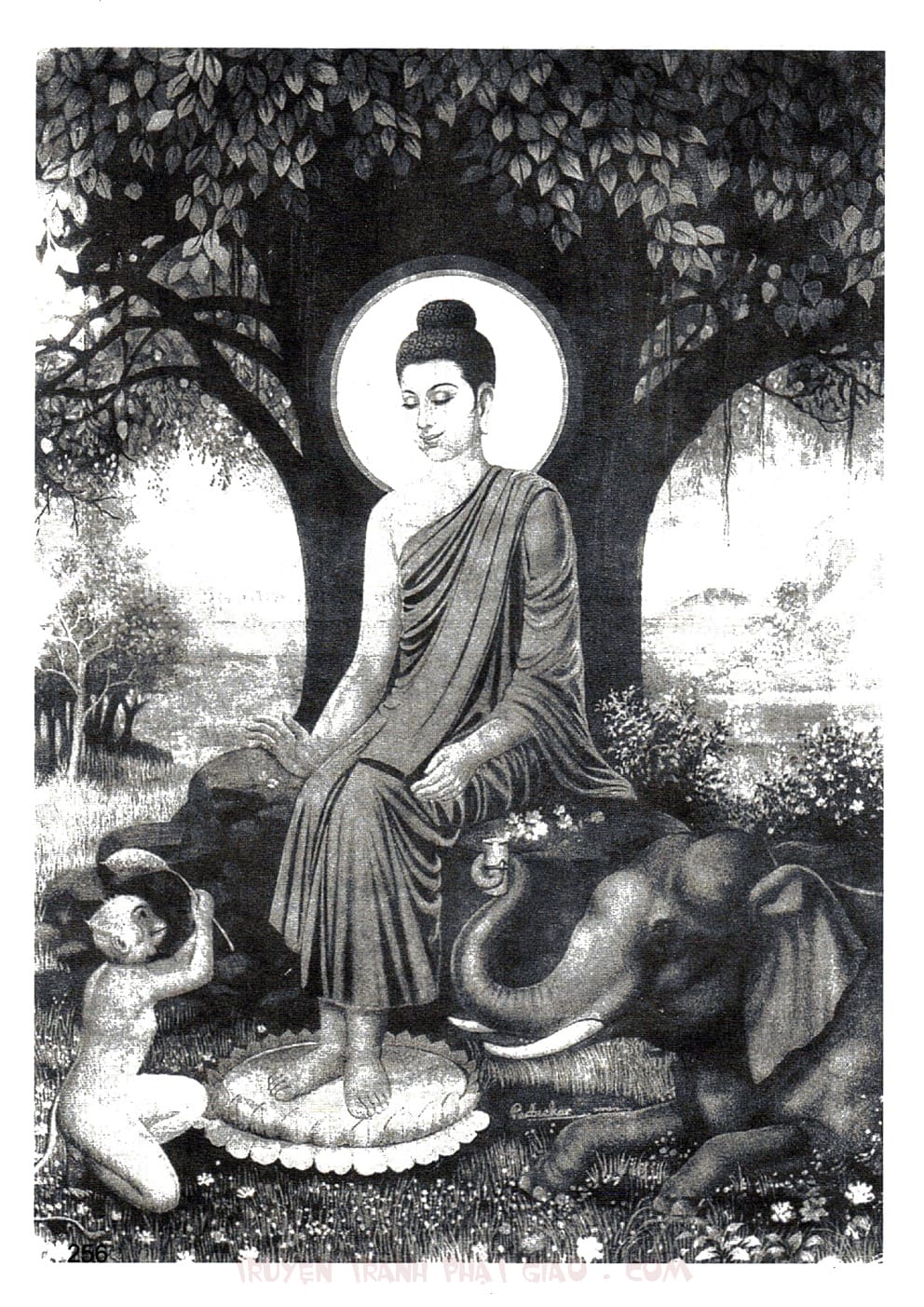 Lịch Sử Đức Phật Bằng Tranh - Tập 2 | Lý Thái Thuận - Trương Quân