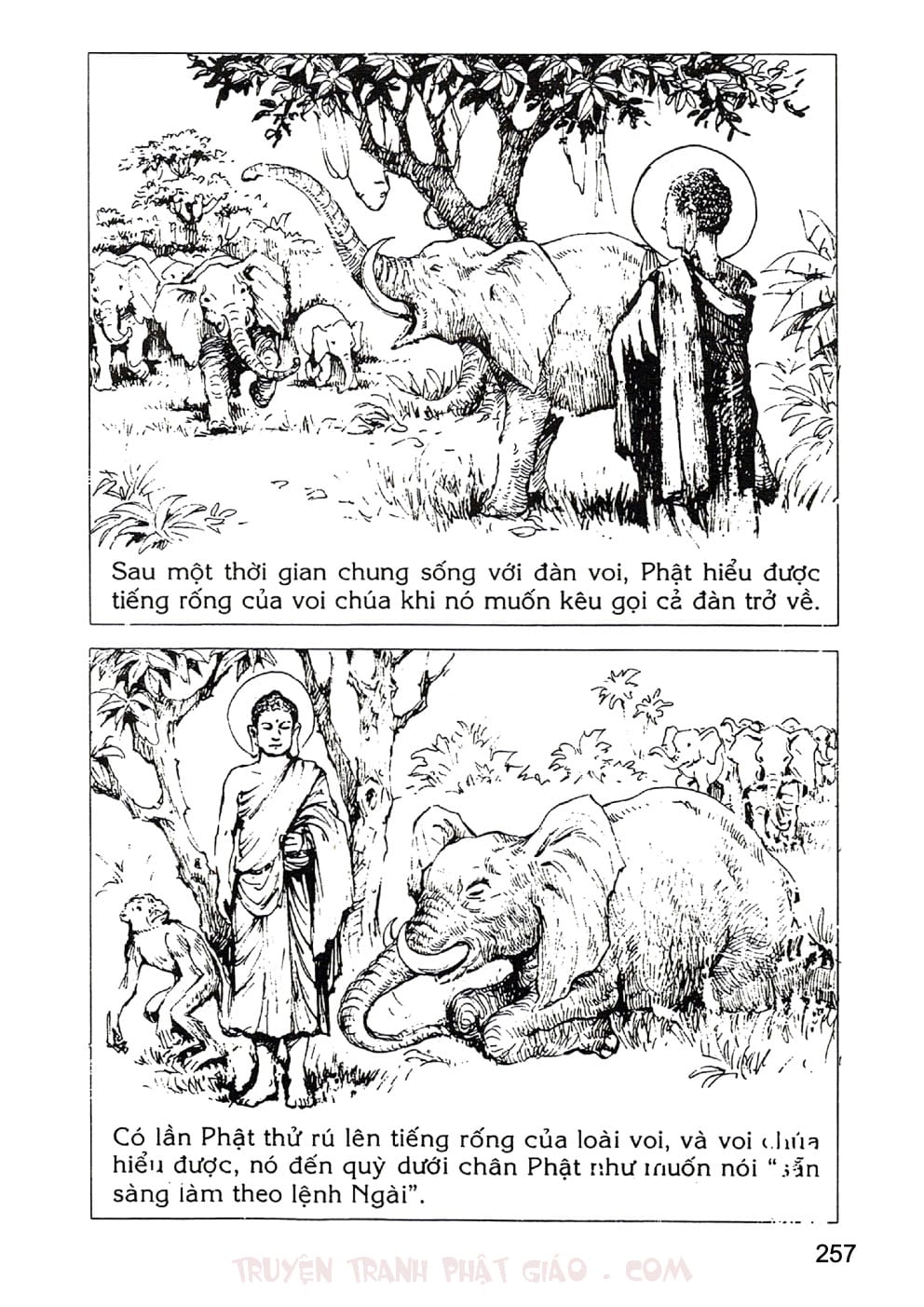 Lịch Sử Đức Phật Bằng Tranh - Tập 2 | Lý Thái Thuận - Trương Quân