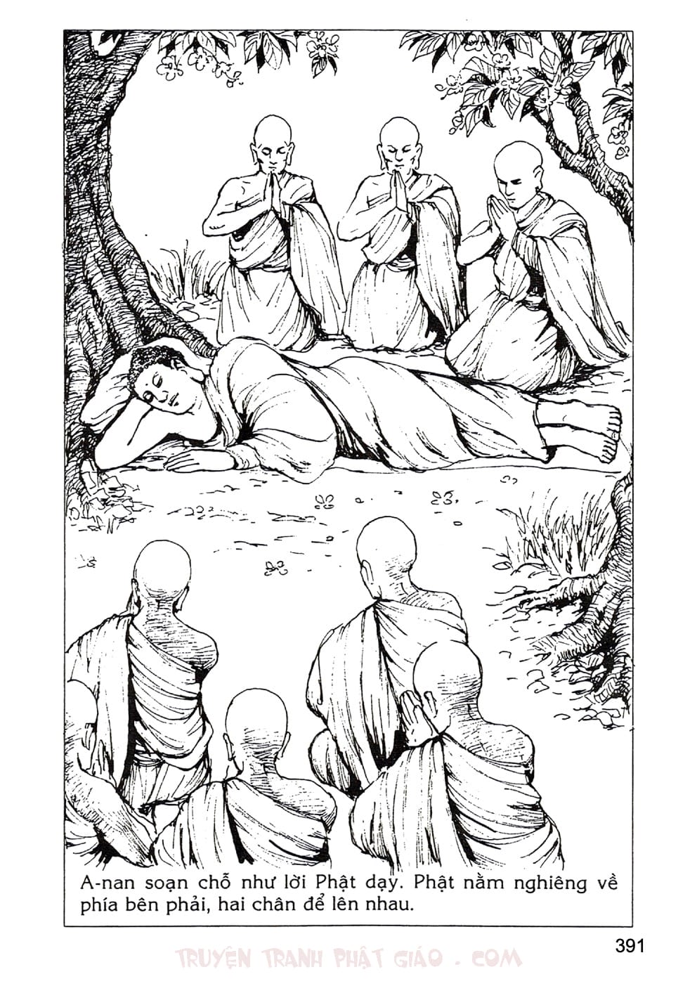 Lịch Sử Đức Phật Bằng Tranh - Tập 2 | Lý Thái Thuận - Trương Quân