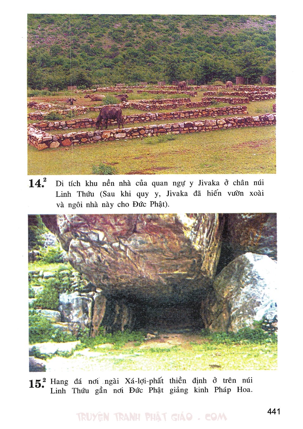 Lịch Sử Đức Phật Bằng Tranh - Tập 2 | Lý Thái Thuận - Trương Quân