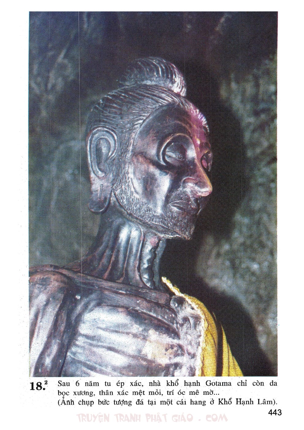 Lịch Sử Đức Phật Bằng Tranh - Tập 2 | Lý Thái Thuận - Trương Quân