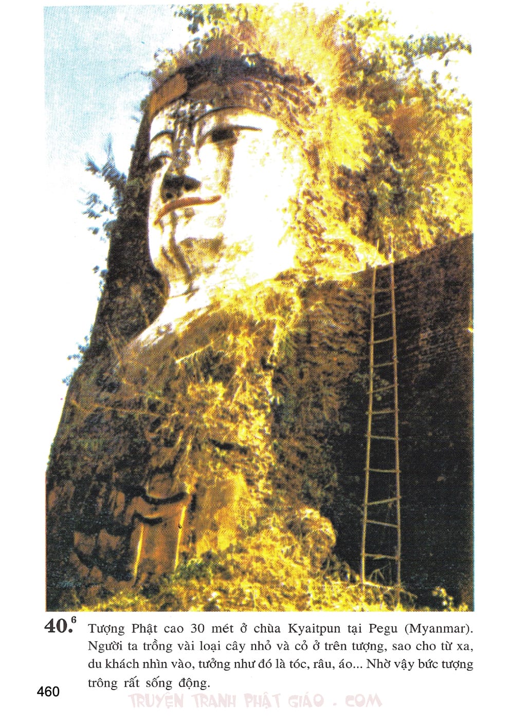 Lịch Sử Đức Phật Bằng Tranh - Tập 2 | Lý Thái Thuận - Trương Quân