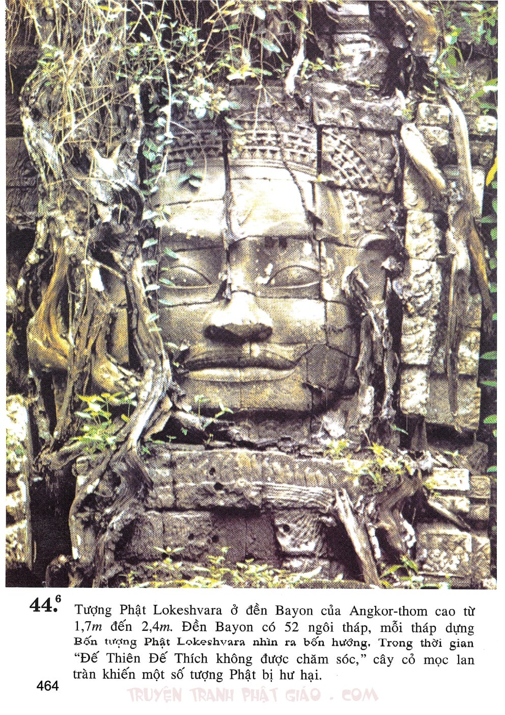 Lịch Sử Đức Phật Bằng Tranh - Tập 2 | Lý Thái Thuận - Trương Quân