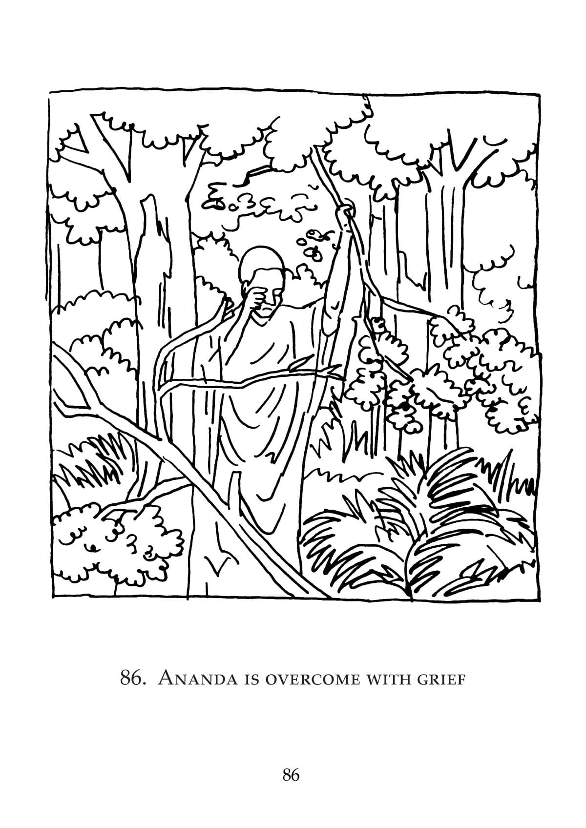 Cuộc đời Đức Phật qua tranh vẽ