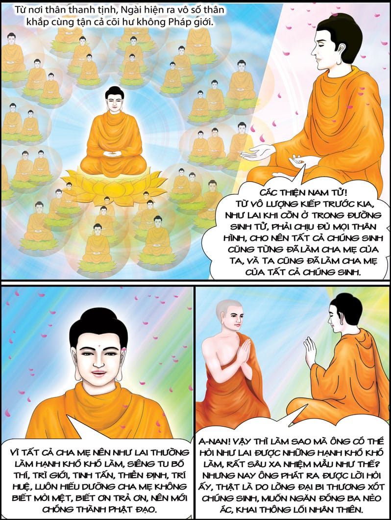 Báo Ân Cha Mẹ