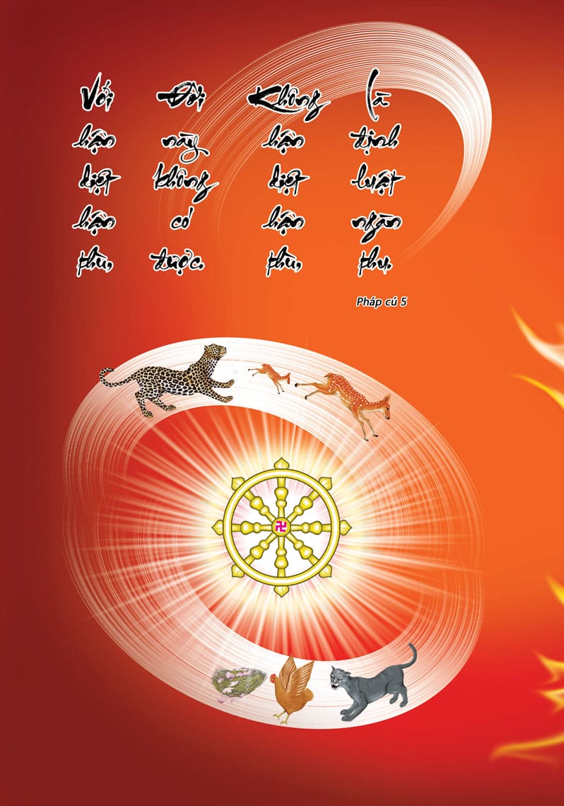 Luân Hồi Báo Oán