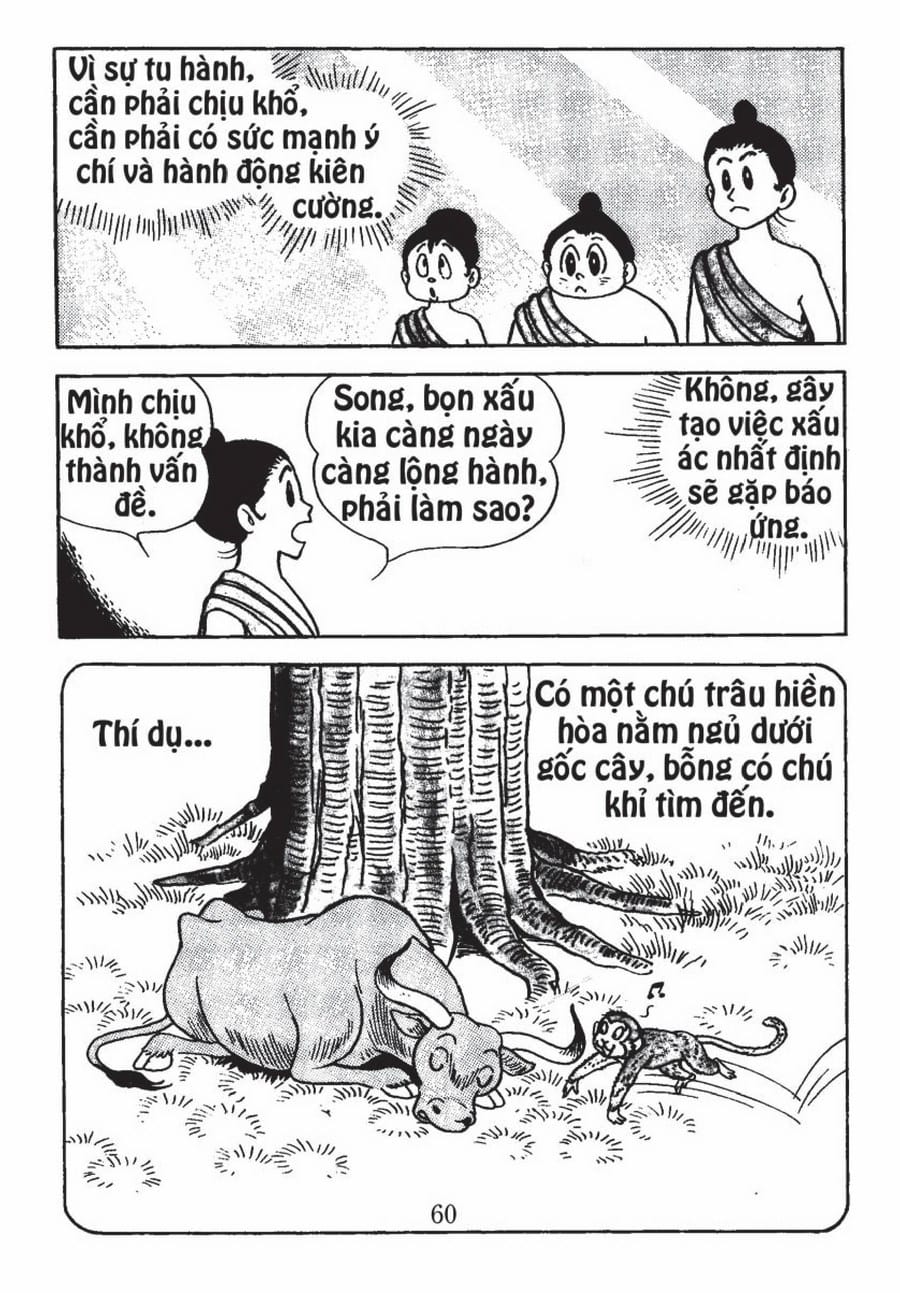 Hoa Nhẫn Nhục