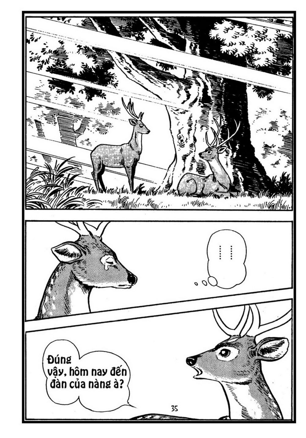 Thế Giới Động Vật