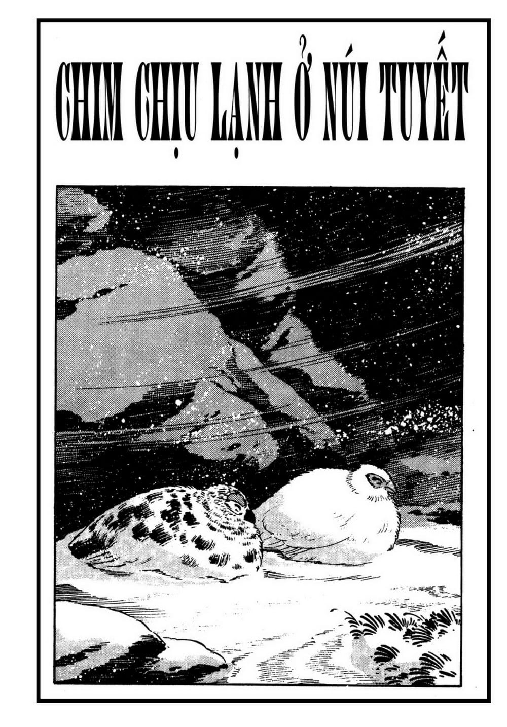 Thế Giới Động Vật