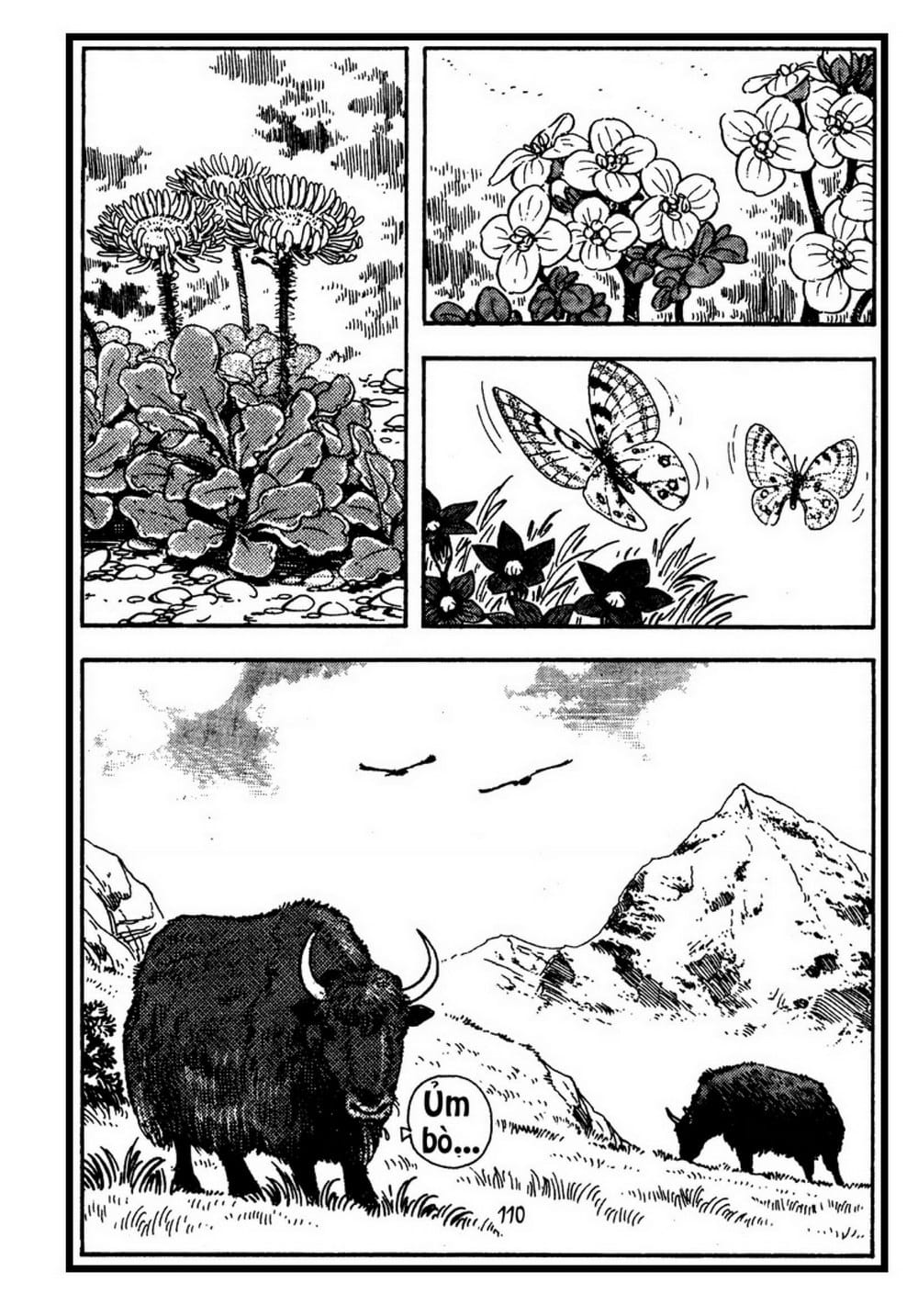 Thế Giới Động Vật