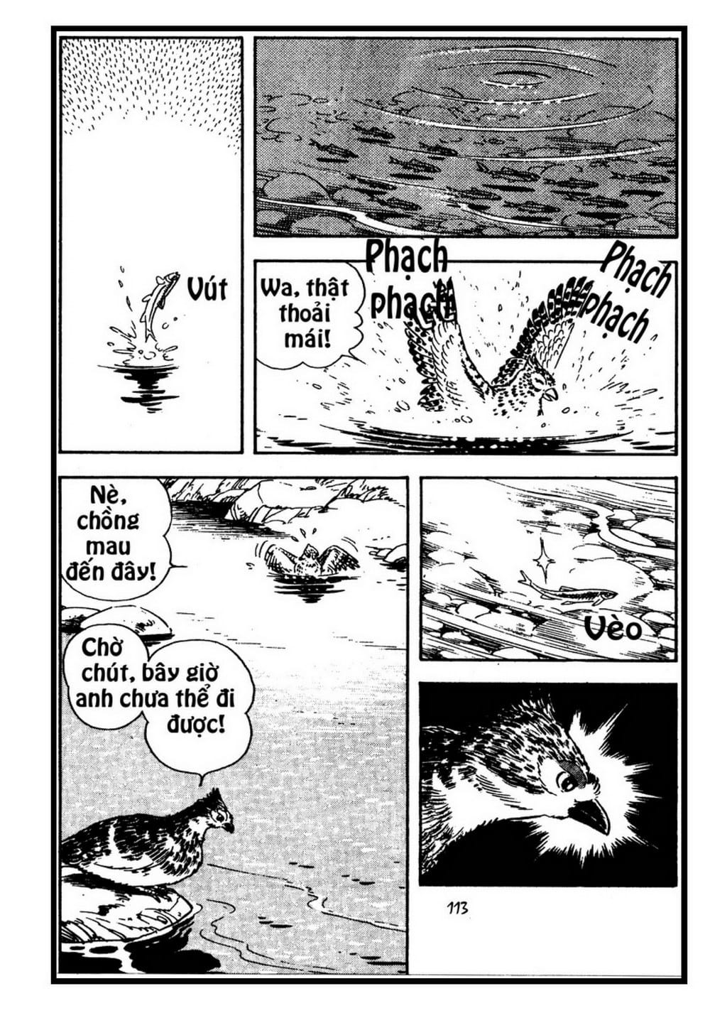 Thế Giới Động Vật