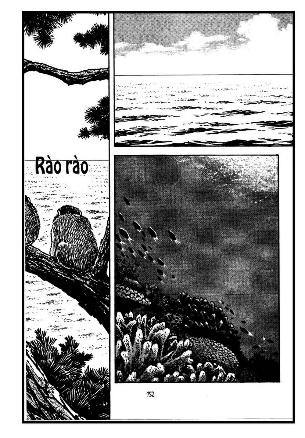 Thế Giới Động Vật