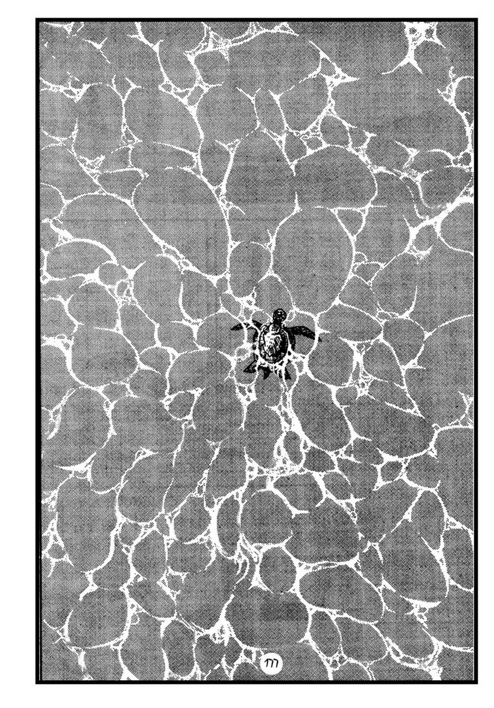 Thế Giới Động Vật