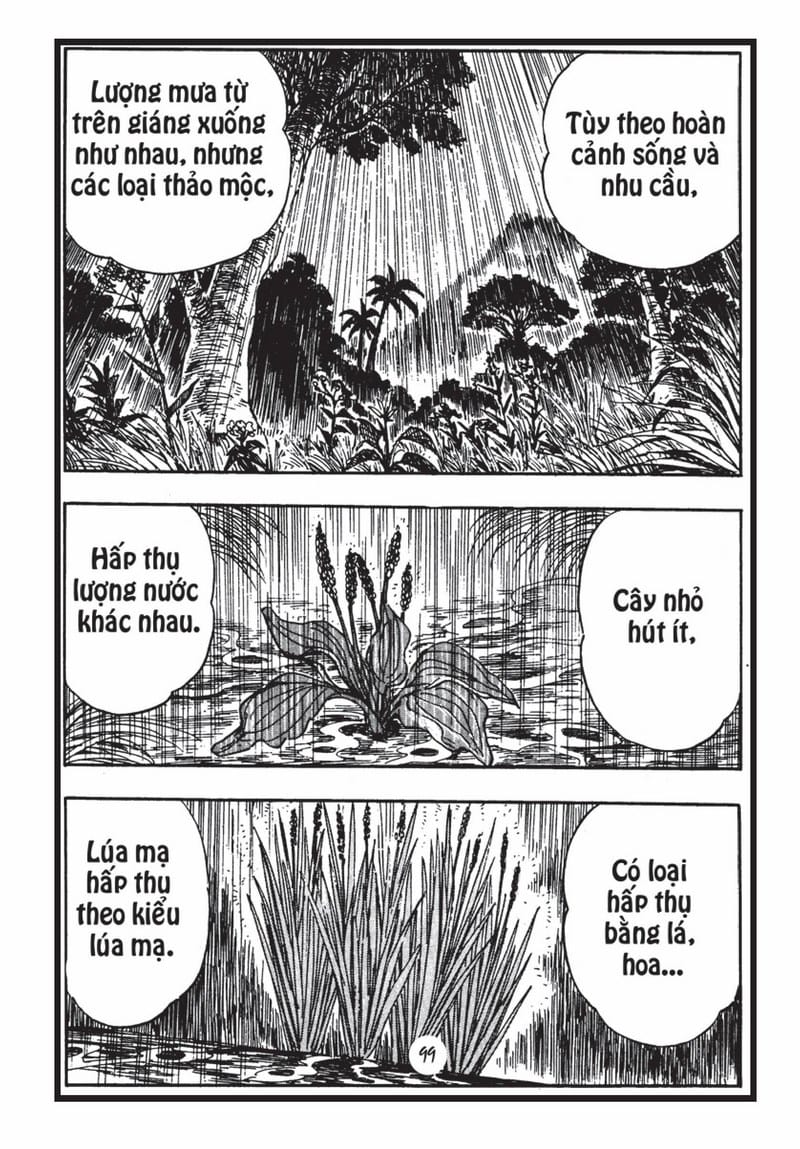 Bảy Thí Dụ Trong Kinh Pháp Hoa