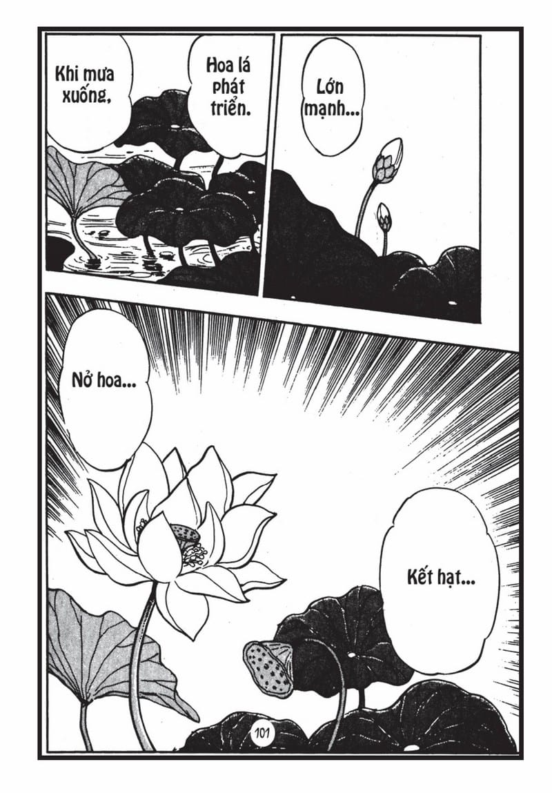 Bảy Thí Dụ Trong Kinh Pháp Hoa