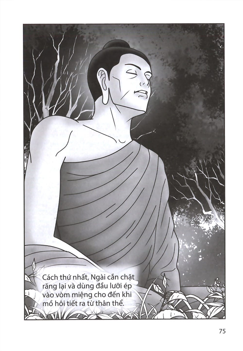 Đức Phật Thích Ca - Từ Sơ Sanh Đến Xuất Gia - Tập 1